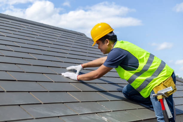 Best Roof Leak Repair  in Carrier Mls, IL