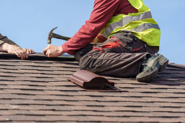 Best Roof Maintenance Services  in Carrier Mls, IL