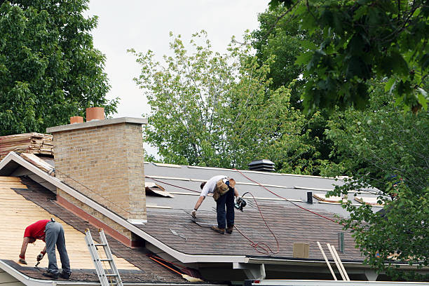 Best Storm Damage Roof Repair  in Carrier Mls, IL