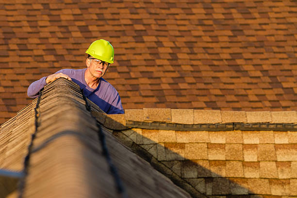 Best Local Roofing Companies  in Carrier Mls, IL