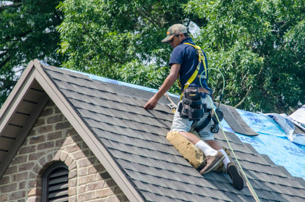 Best Roof Replacement Cost  in Carrier Mls, IL